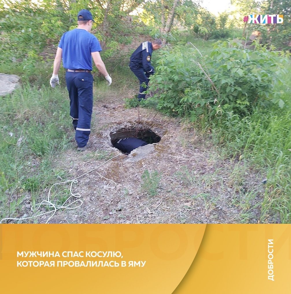 Рубрика "Добрости" ❤😁 
МУЖЧИНА СПАС КОСУЛЮ , КОТОРАЯ ПРОВАЛИЛАСЬ В ЯМУ

Челябинец Денис Ибрагимов спас косулю,провалившуюся в яму. Молодой человек заметил животное, гуляя по лесу.

Как сообщается сайт "КП-Челябинск",
«Косуля случайно провалилась в яму с арматурой и никак не могла выбраться. Тогда Денис вызвал МЧС и оставался на месте до момента прибытия специалистов», - написано на сайте «КП -Челябинск».

«Она пыталась вылезти, но не получалось почему-то. Возможно, в яме животное за что-то зацепилось», — предположил Денис.

Мужчина ждал спасателей около часа. Когда специалисты приехали, они быстро вызволили животное из ловушки. Правда отпускать на волю пострадавшую не спешили, вместо этого косулю повезли в зоопарк, где оказали должное внимание и уход,

#жить #проектжить #добрости