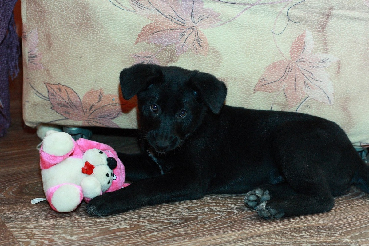 Первый день дома. Фото из личного архива.