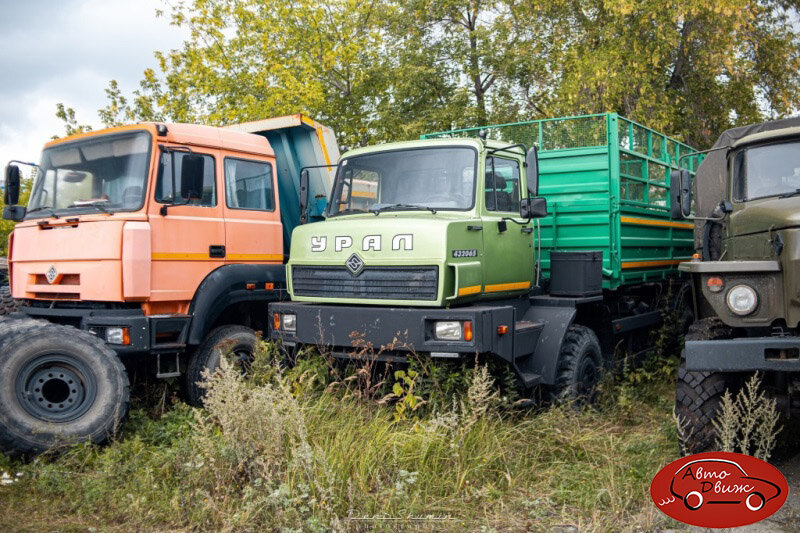 Фото Денис Шумин