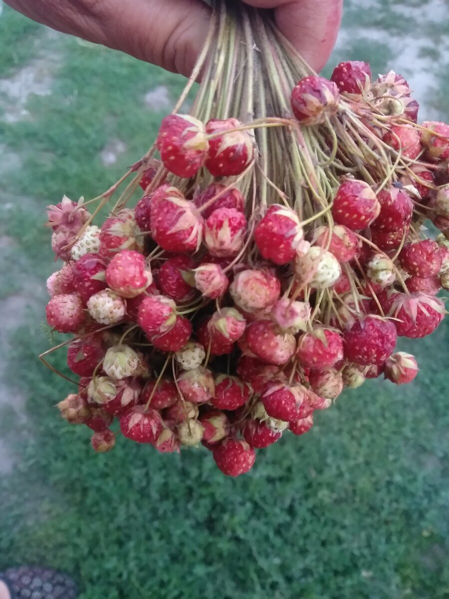 Фото для канала Соловьёвы Соловьёвы наша жизнь