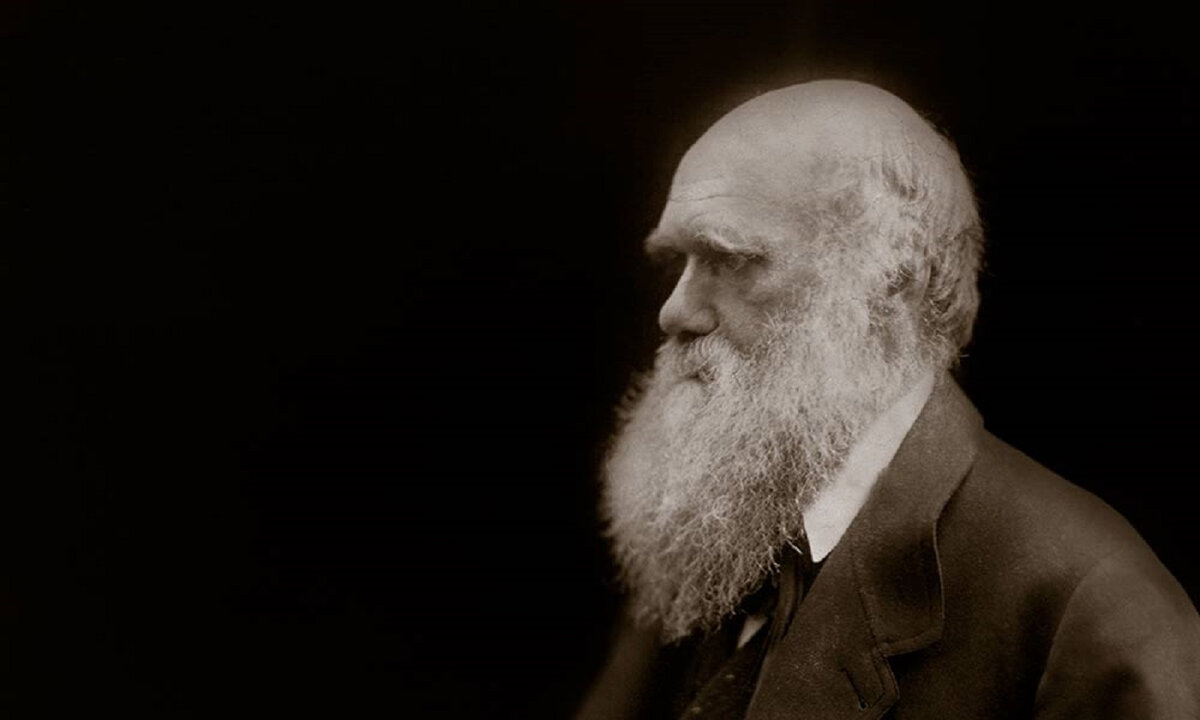 изображение из сети интернет и в свободном доступе