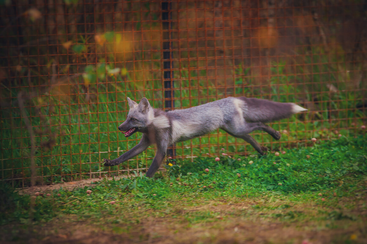 Подписывайтесь на канал и ставьте лайки - так вы поможете развитию канала и не потеряете нашу семейку