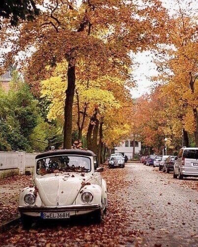 Фото из интернета. Екатеринбург. 