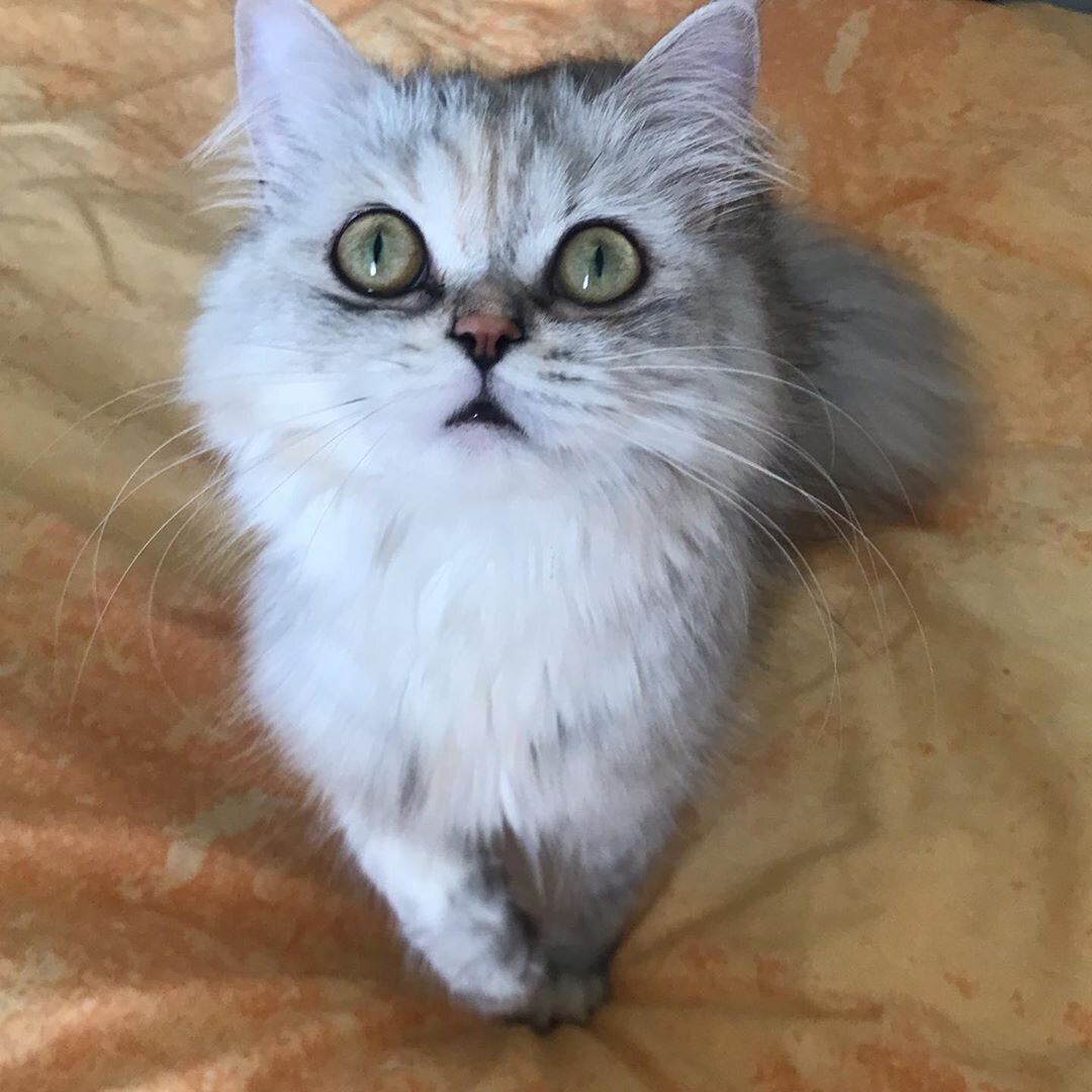 А что это там такое интересное?