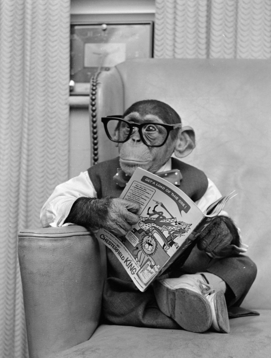 Интеллигенция не мозг нации, а говно. В.И. Ленин