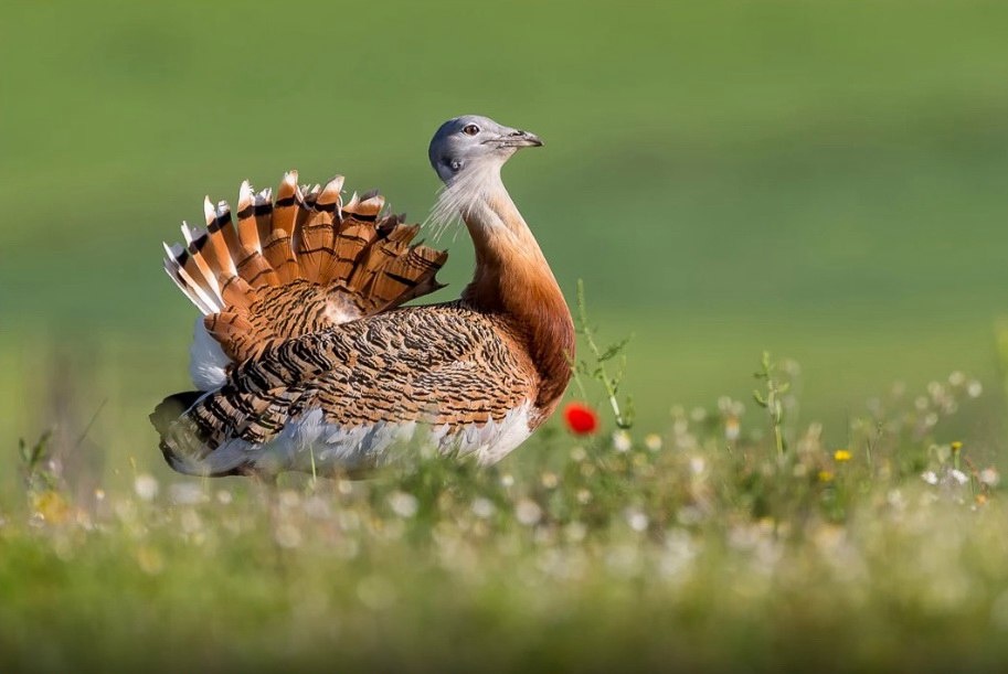 Источник: liveinternet.ru