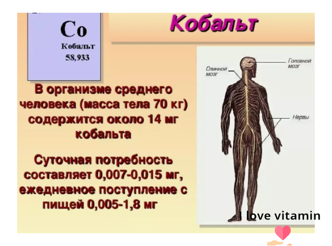 Кобальт в организме человека. Роль кобольт в организме человека. Содержание кобальта в организме человека. Кобальт функции в организме.