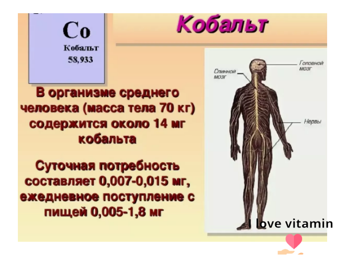 Кобальт входит в состав. Кобальт в организме человека. Кобальт функции в организме. Функции кобальта в организме человека. Недостаток кобальта в организме человека.