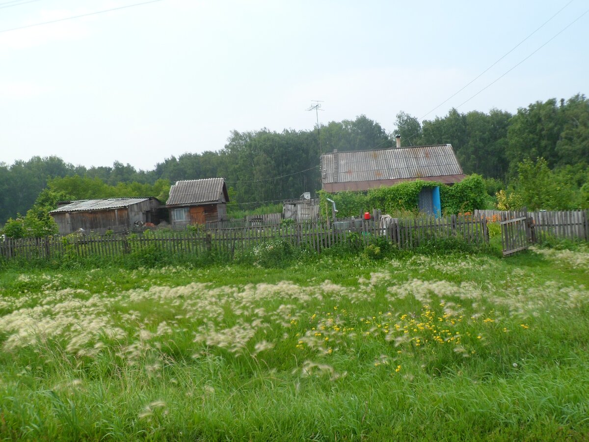 Фото для иллюстрации. Деревня летом