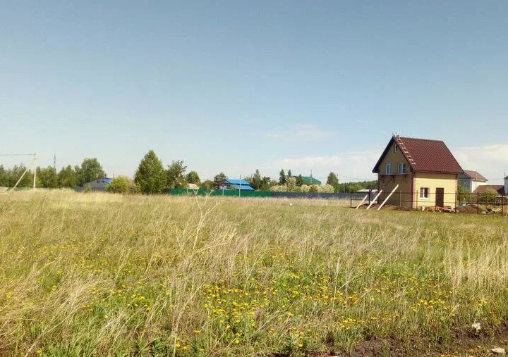 Участок в поле. Фото взято из открытых источников.