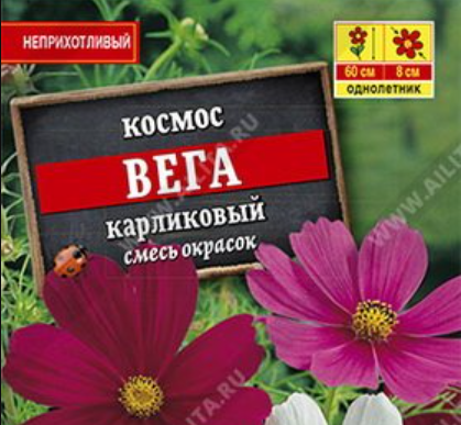 Семена космея Вега