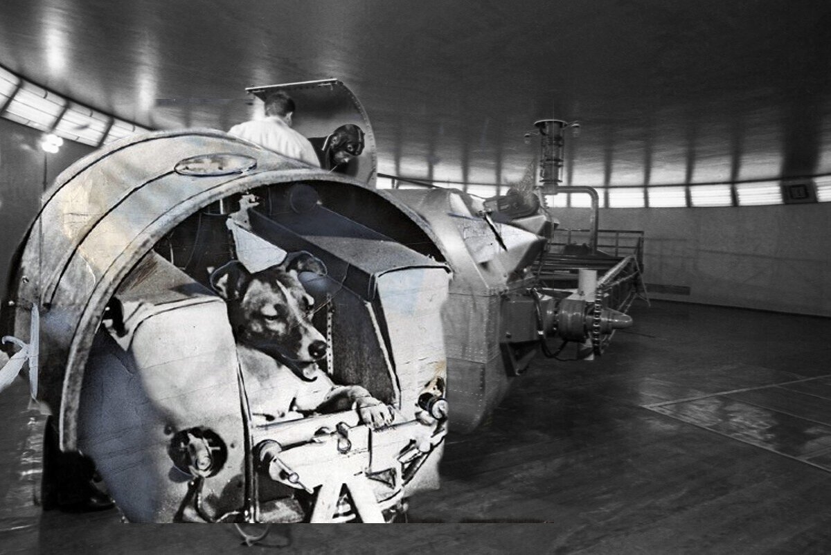 Камера и саркофаг Лайки