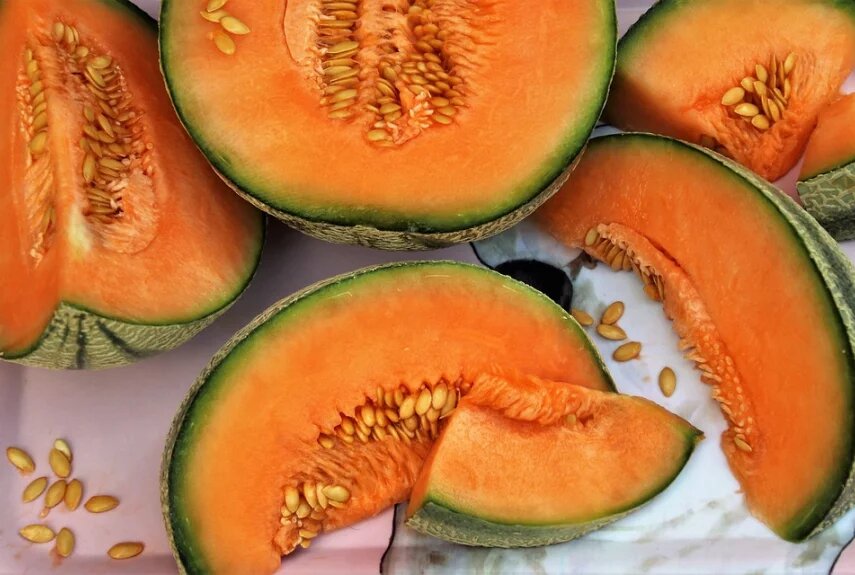 Фото: pixabay.com