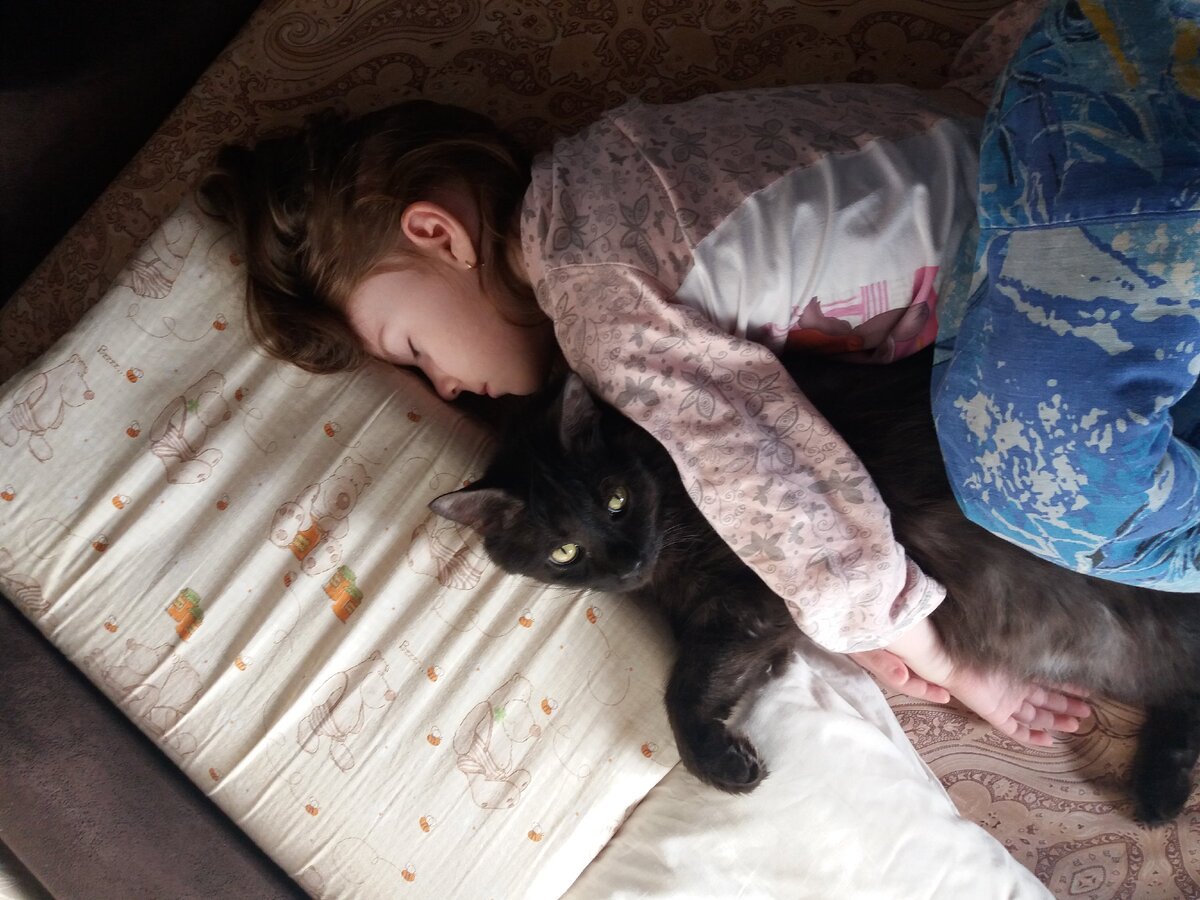 Кот баюн Фаня.