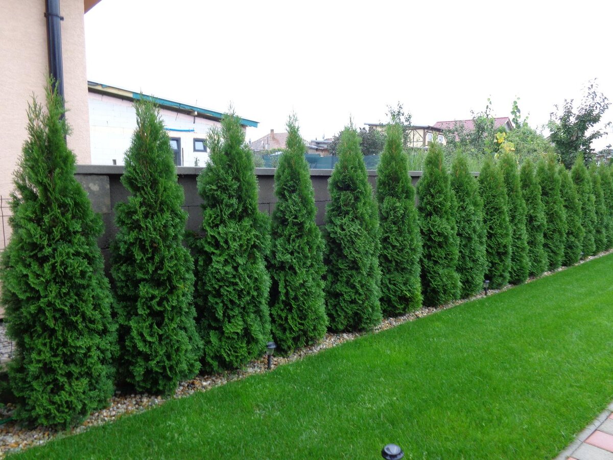 Источник фото: theostriv.com.ua