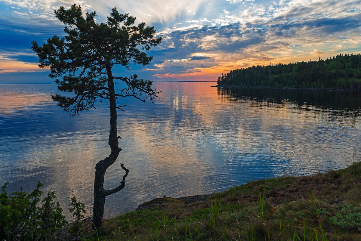 Северо Западная Тайга Карелия