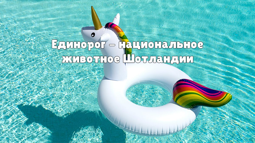 Единорог