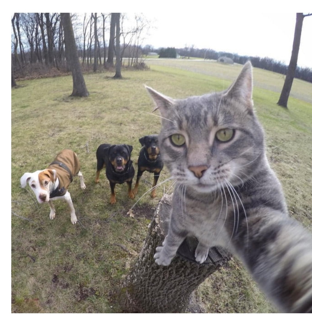 Пацаны в гости зашли