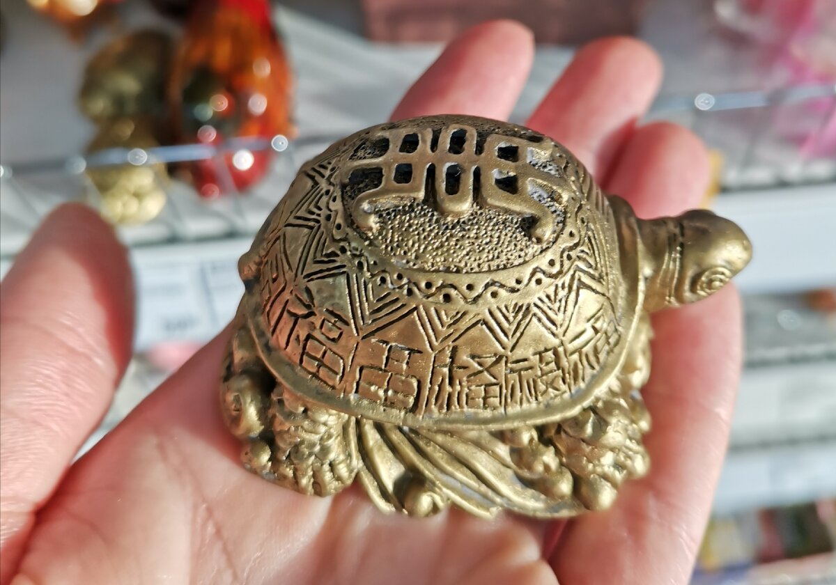 Фото автора.