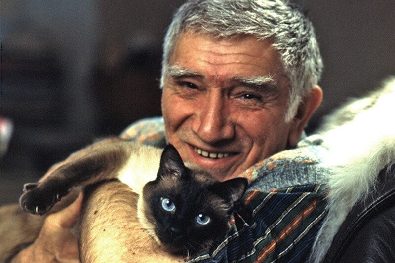 Сиамский кот Фил прожил у Джигарханяна 25 лет. Фото www.1tv.ru.