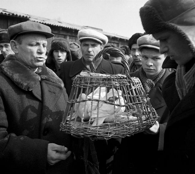 Птичий рынок, 1958 г. Фото Эриха Лессинга.