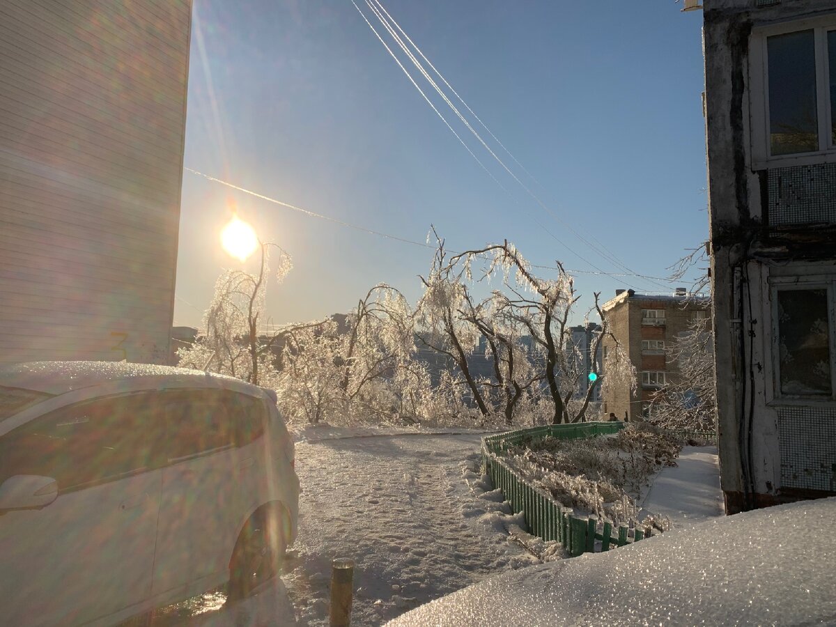 Во льду абсолютно все. Все деревья поломаны. Фото ниже.