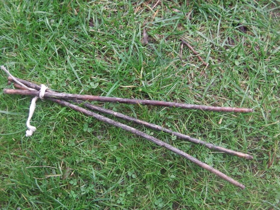 Шалашик-тренога. Фото автора