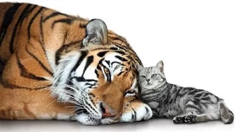 Источник: yandex.ua