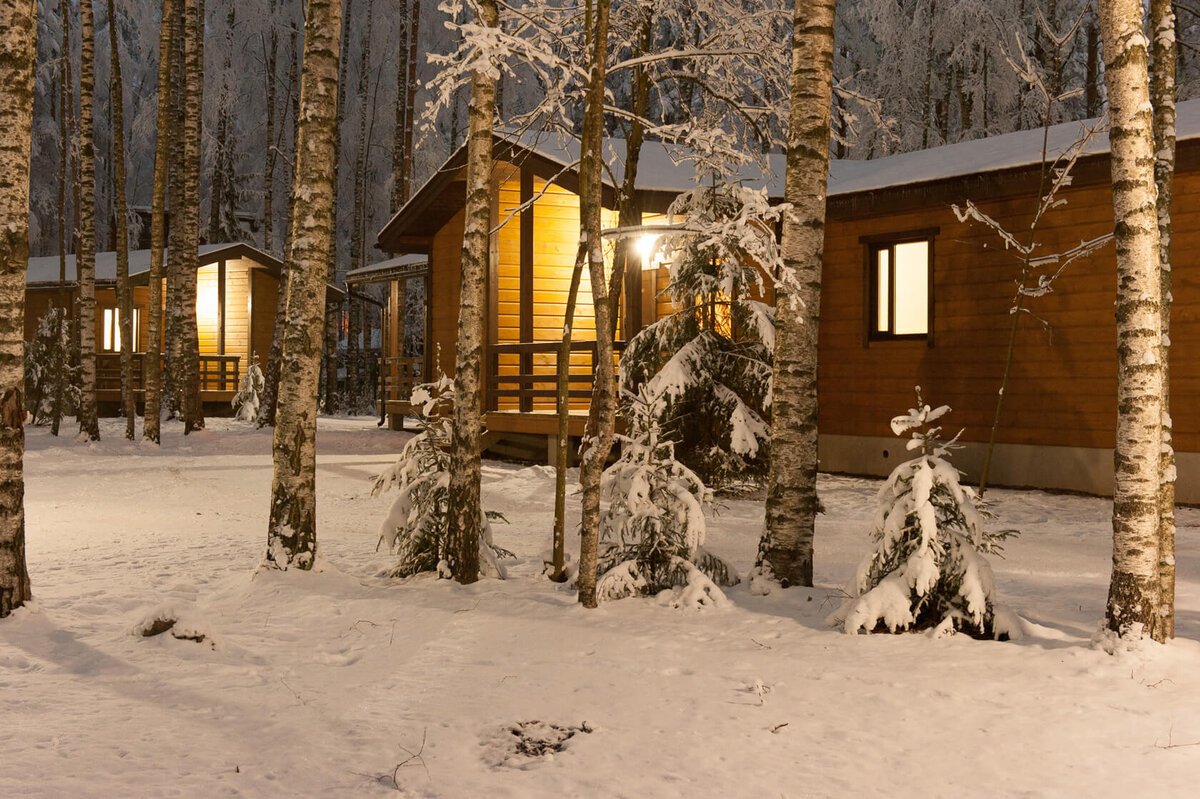 Фото: @zoldol_official, vk.com