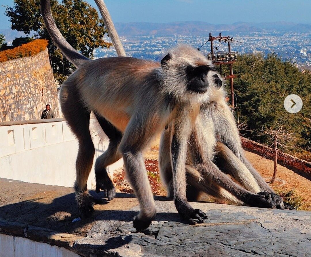 Один из городков Индии