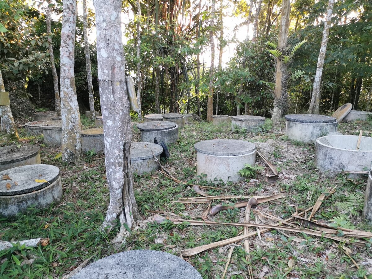 колодцев было несколько десятков, внутри они были пусты