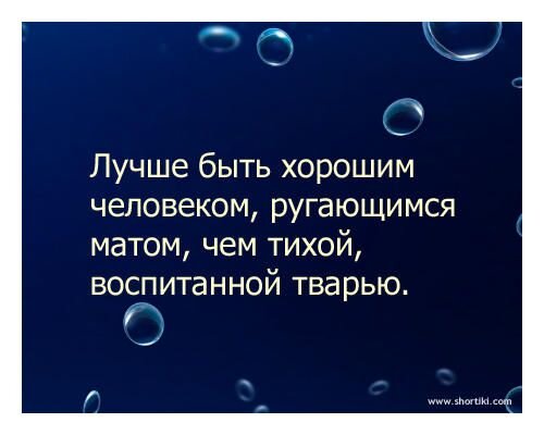 Догадываюсь, что многие слишком буквально восприняли эту фразу.