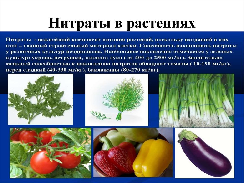 Определение нитратов в продуктах питания проект