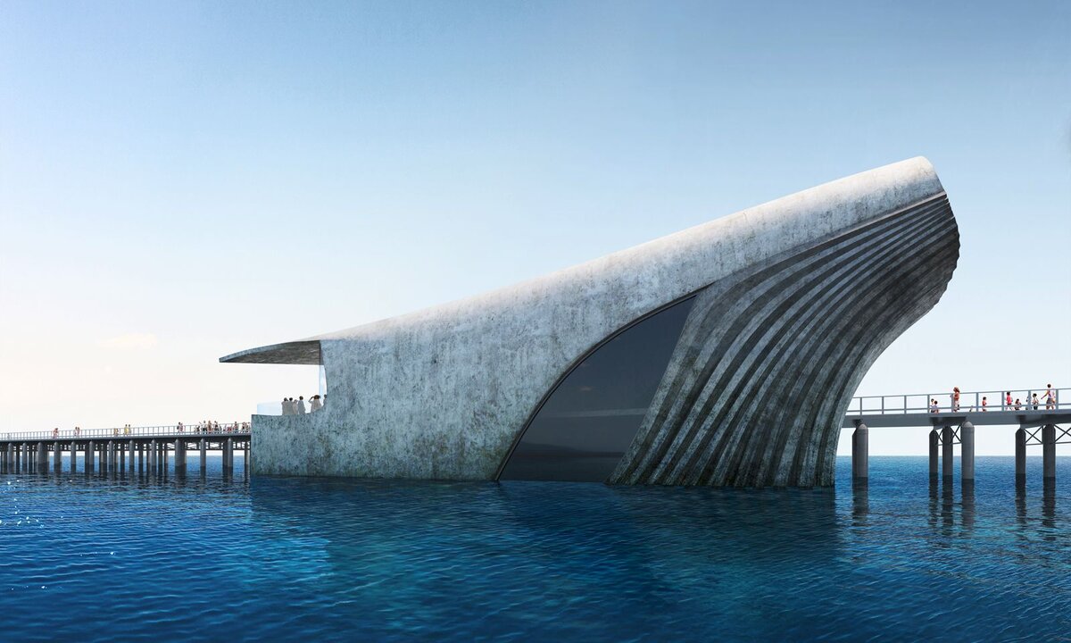 Лондонская компания Baca Architects вдохновилась китом для крупнейшей морской обсерватории Австралии.