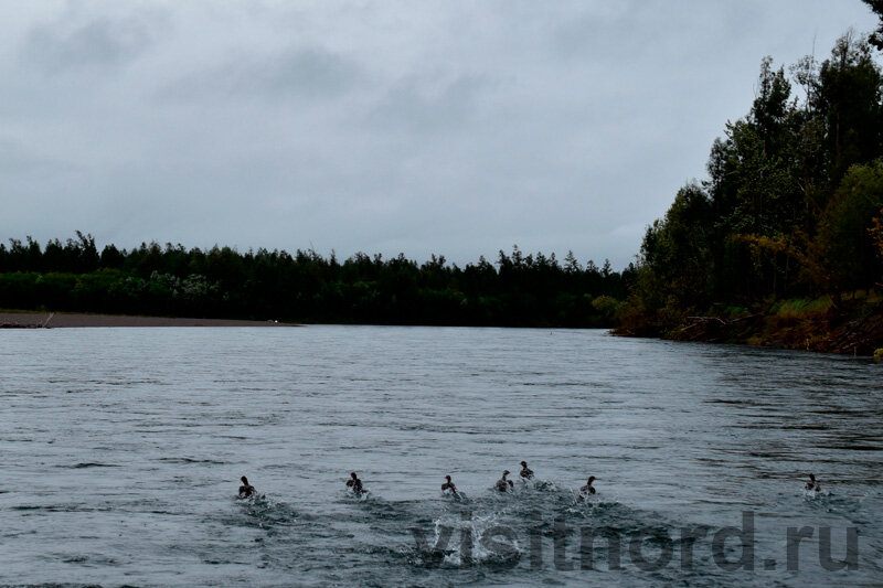 Одни и те же пейзажи вызывают такие разные эмоции