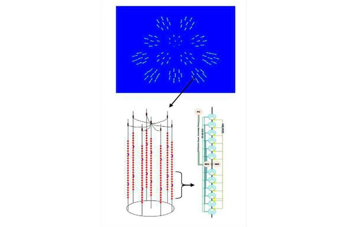 Устройство кубокилометрового детектора (цилиндр из вертикальных гирлянд) / ©baikalgvd.jinr.ru