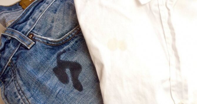 Фото из яндекс 