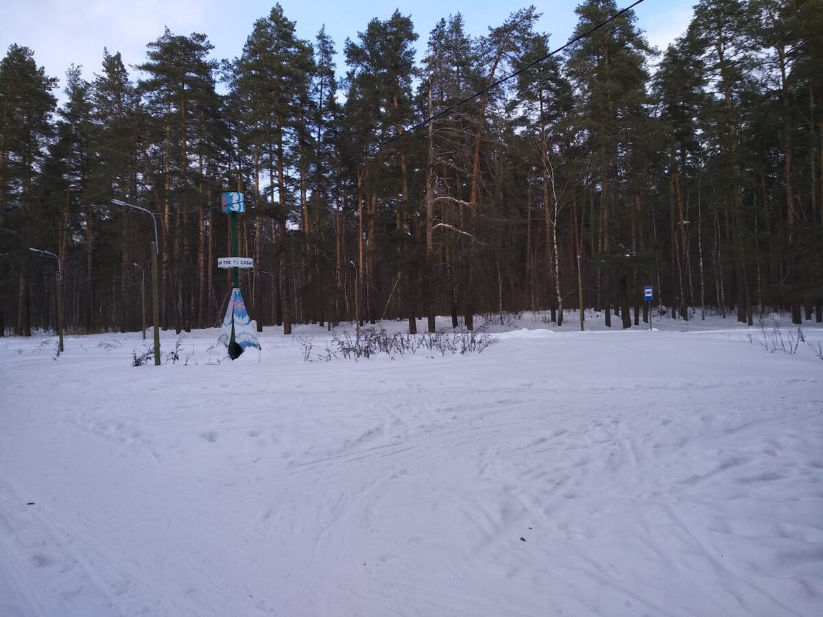 Парк Лебяжье Казань зимой