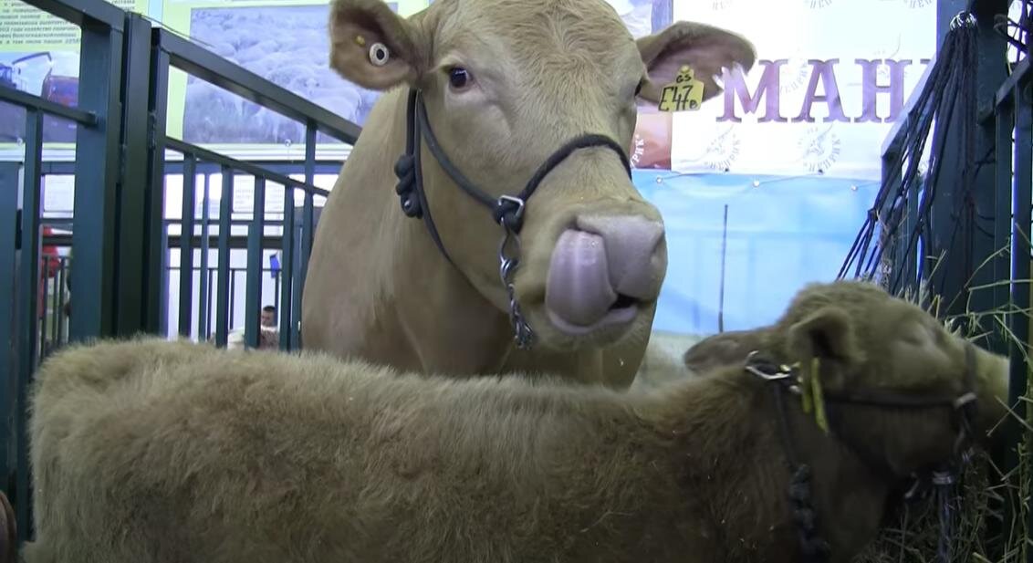 фото Fermer.ru ©