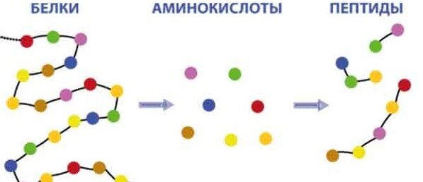 Тут и пояснять нечего, всё понятно. Рисунок из интернета: https://i.siteapi.org