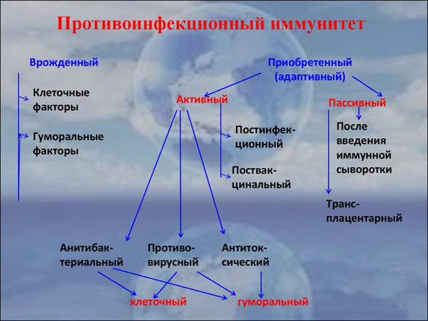 Вы точно человек?