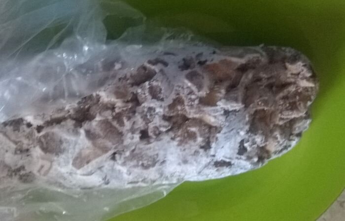 замороженные лисички