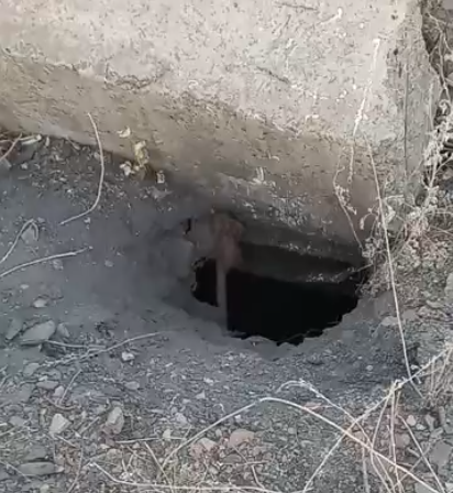 Шахтный ствол до: