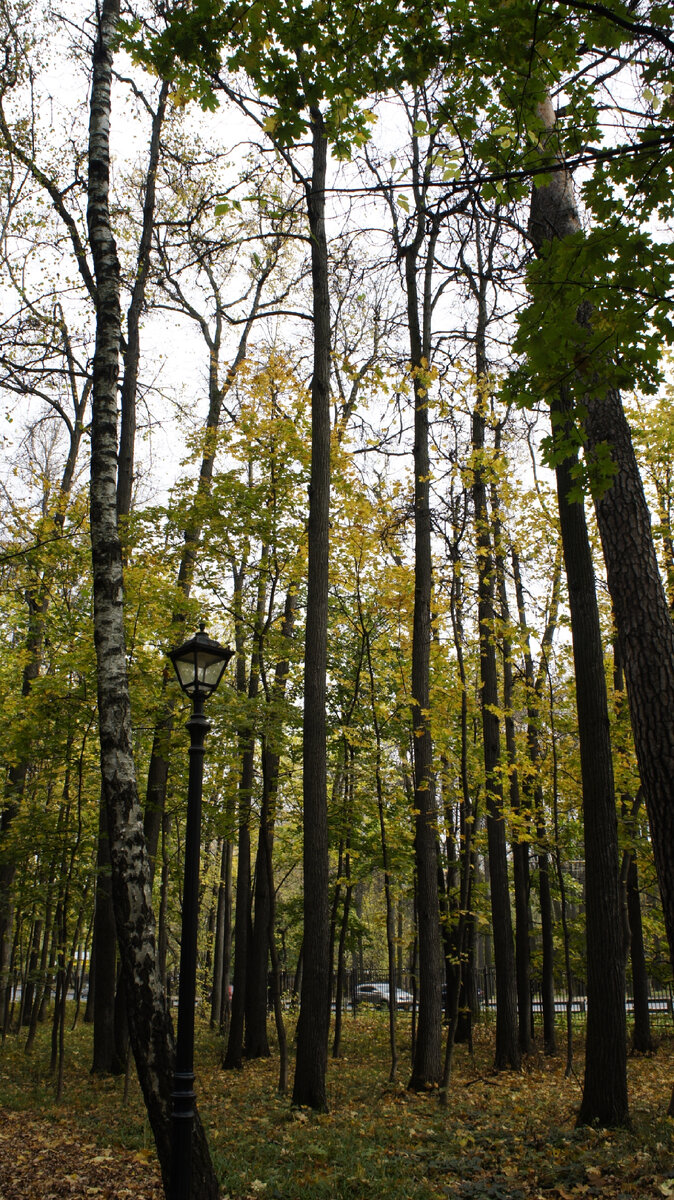 Свет сквозь 