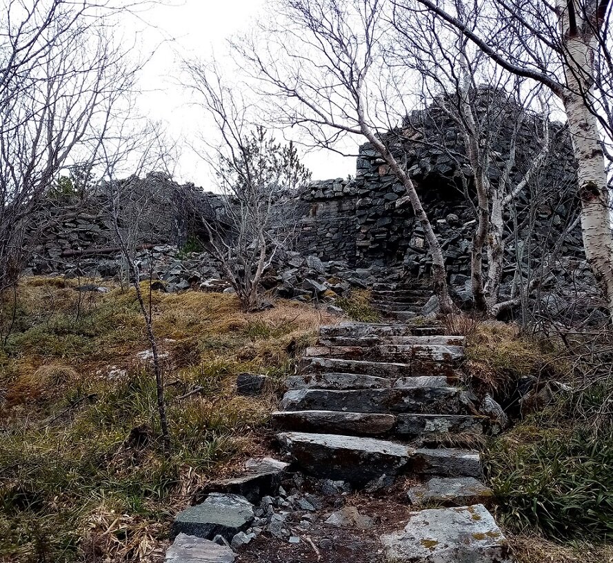 Фото автора.