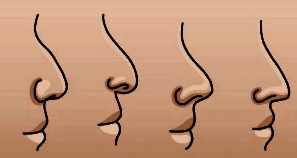 Под каким носом. Nose Shape (форма носа). Разные носы. Разные типы Носов.