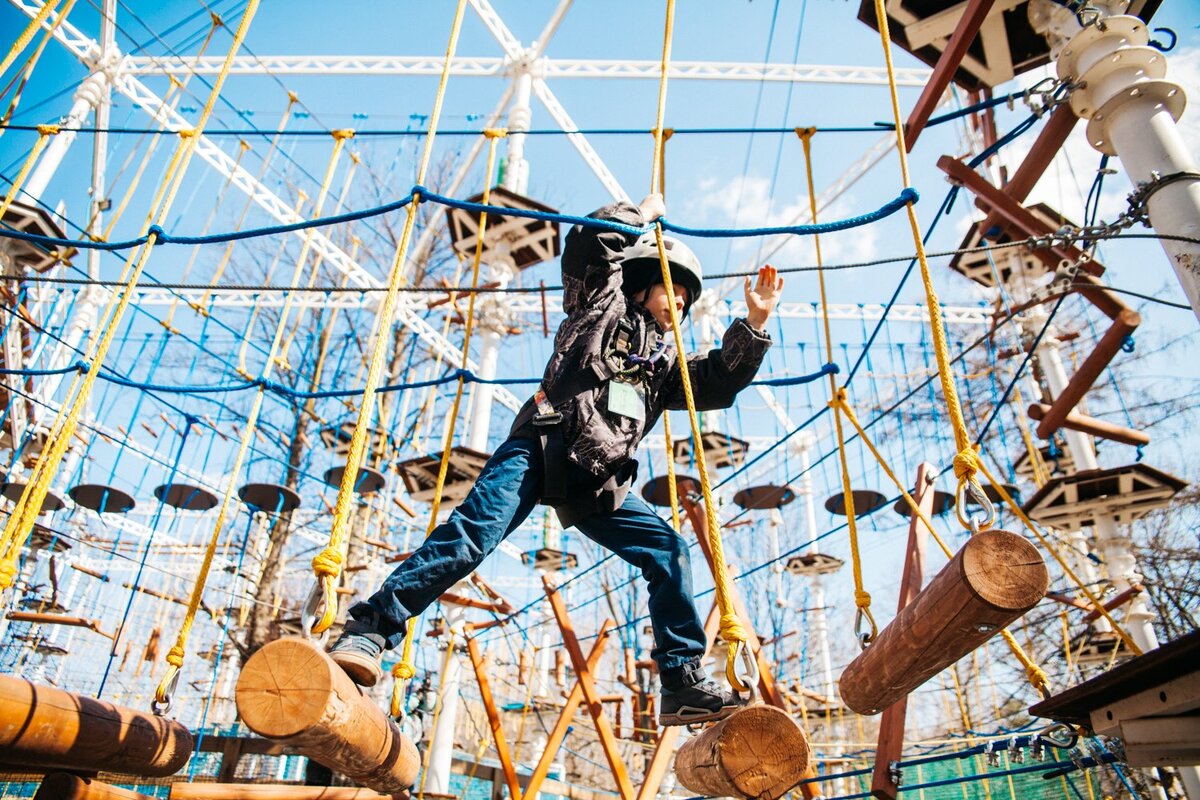 Фото со страницы Парка Сокольники Facebook (https://www.facebook.com/ParkSokolniki)