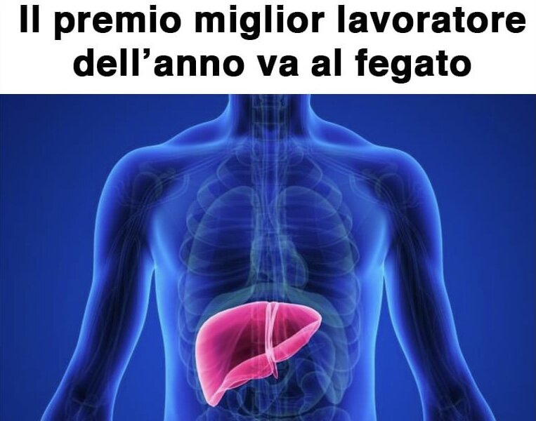 «Приз лучшему работнику года достаётся... печени» (картинка — Movimento 5 litri)