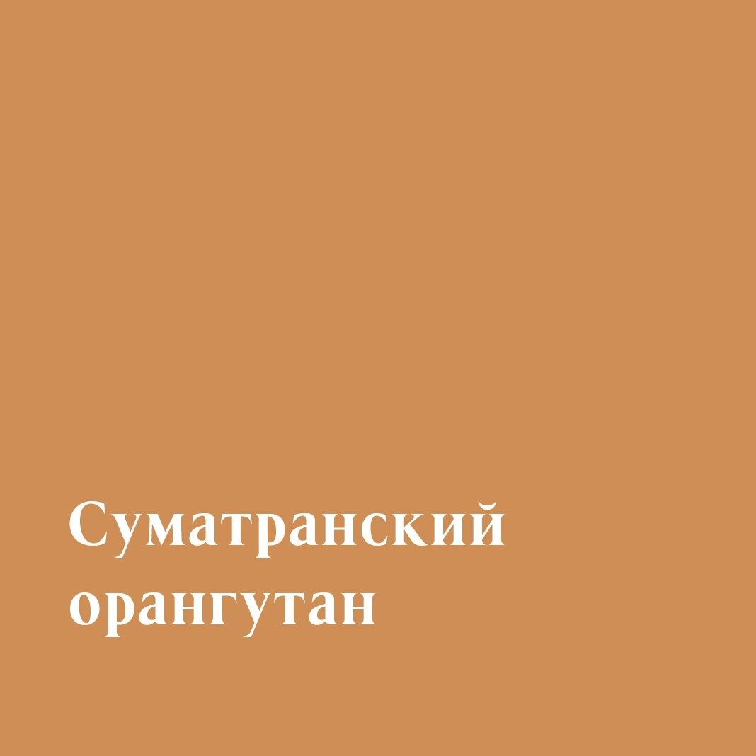 -2-2