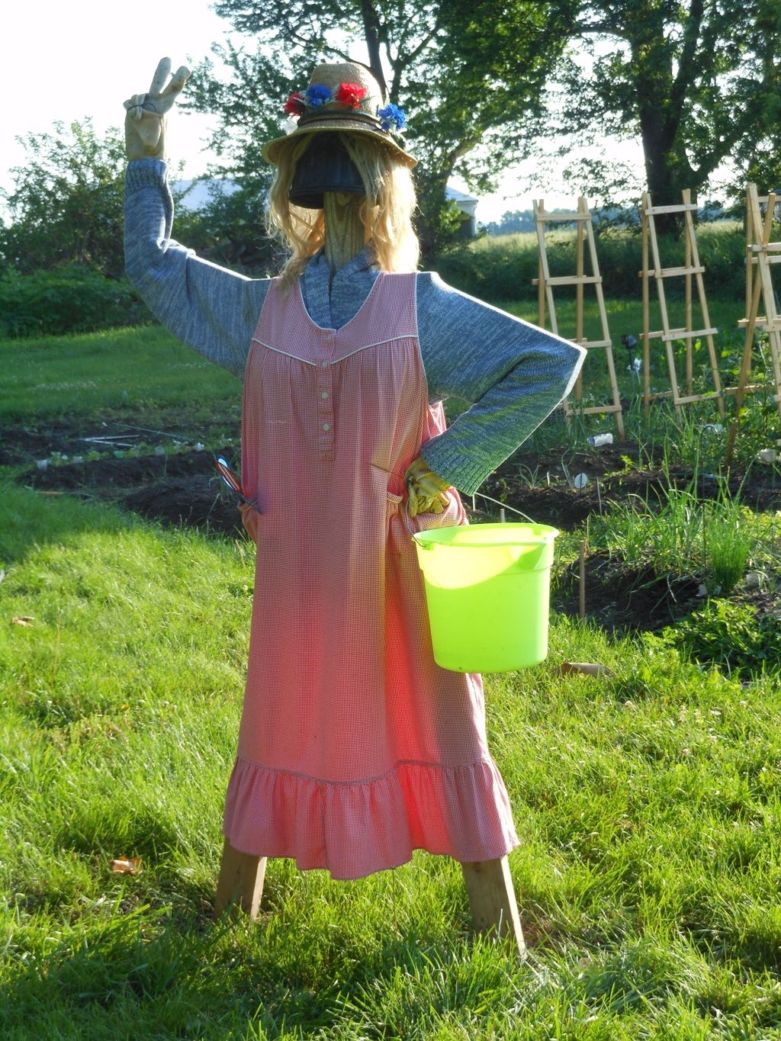 фото из открытого доступа